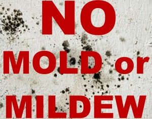 No mold or mildew