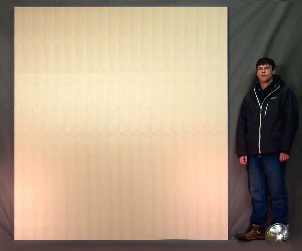 Huge Maple Veneer Pivot Door 99 x 87 x 1.75 Looks Like Solid Wood