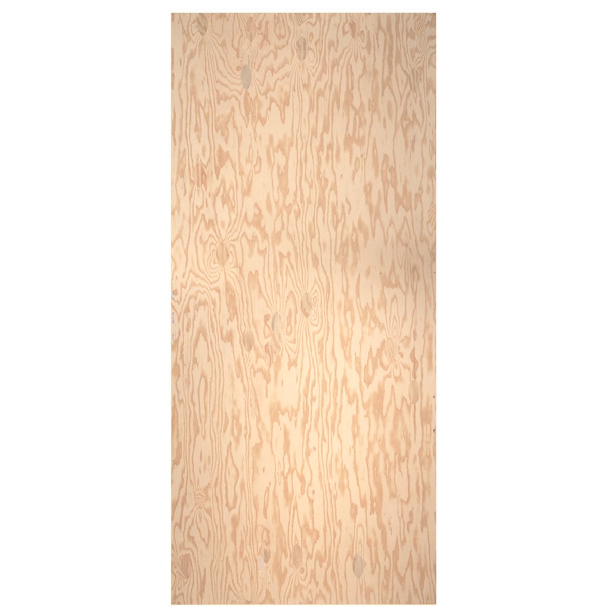 Sing standard plywood warp free wood door flush door 50 yr guarantee