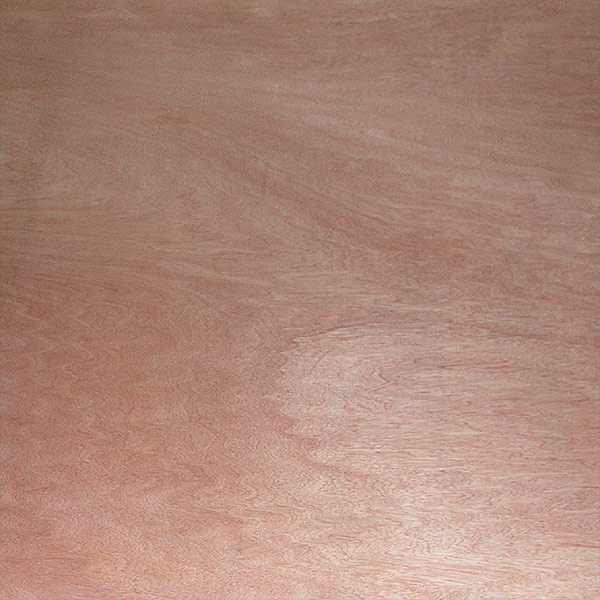 Magnificent White Oak Hard Wood Skin