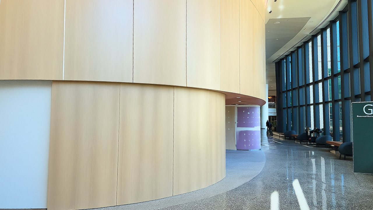 Veneered curved door in hospital