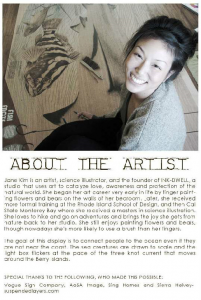 About-the-canvas-panel-artist-Jane-Kim
